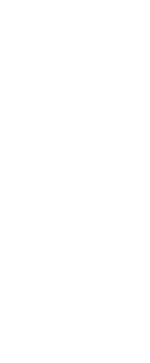 Giber 煮込み