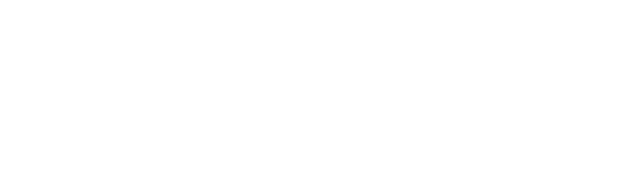 シェフの感性と素材を活かした創作イタリアン